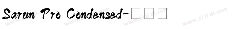 Sarun Pro Condensed字体转换